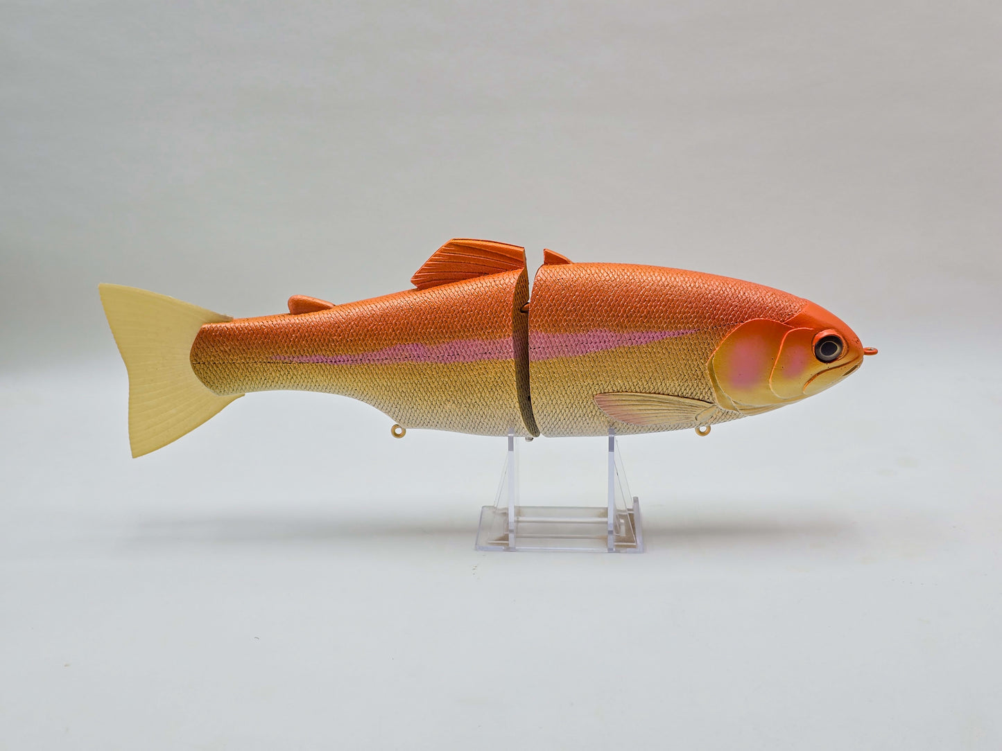 Castaway Trout [Palomino]