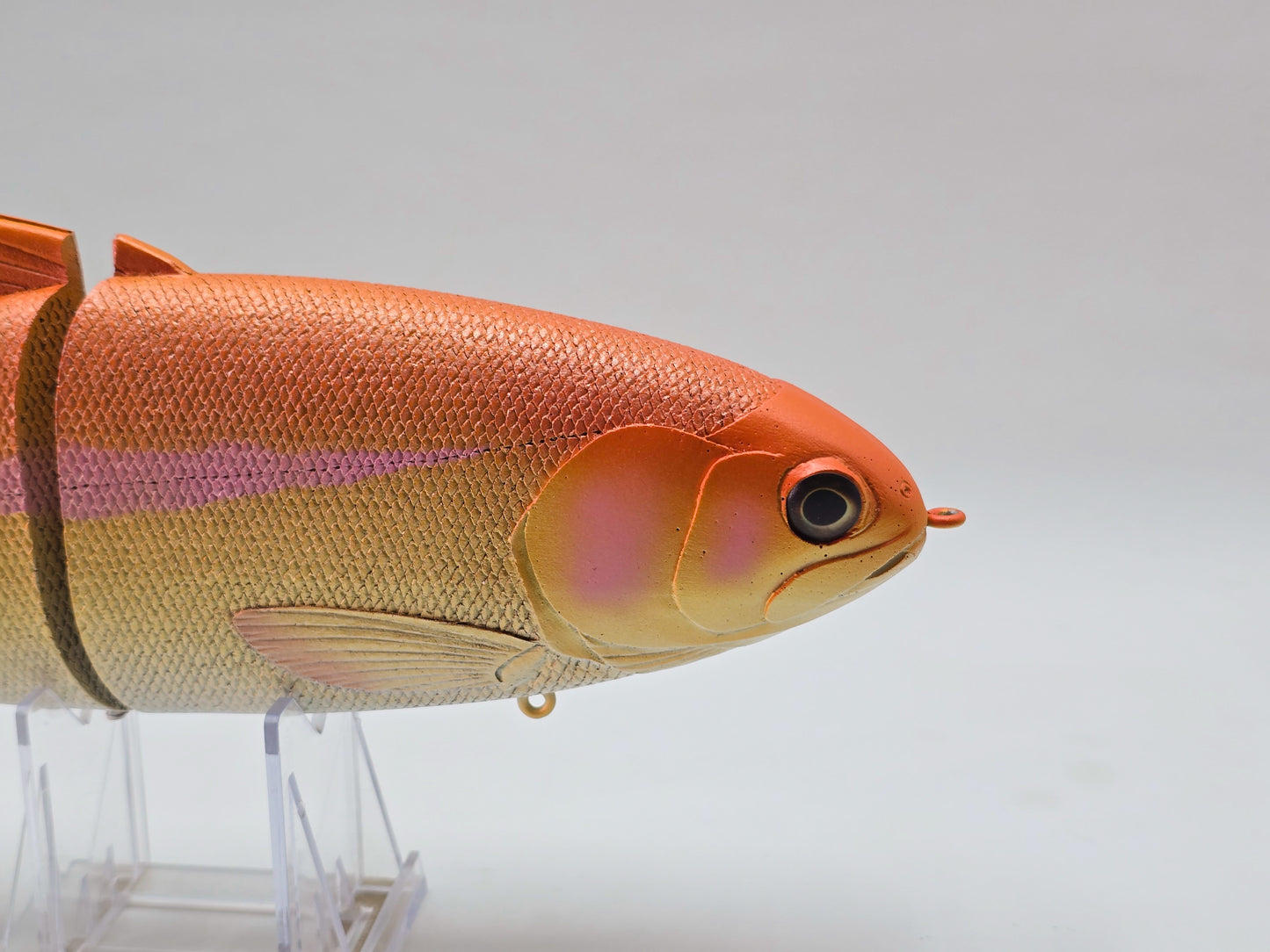 Castaway Trout [Palomino]